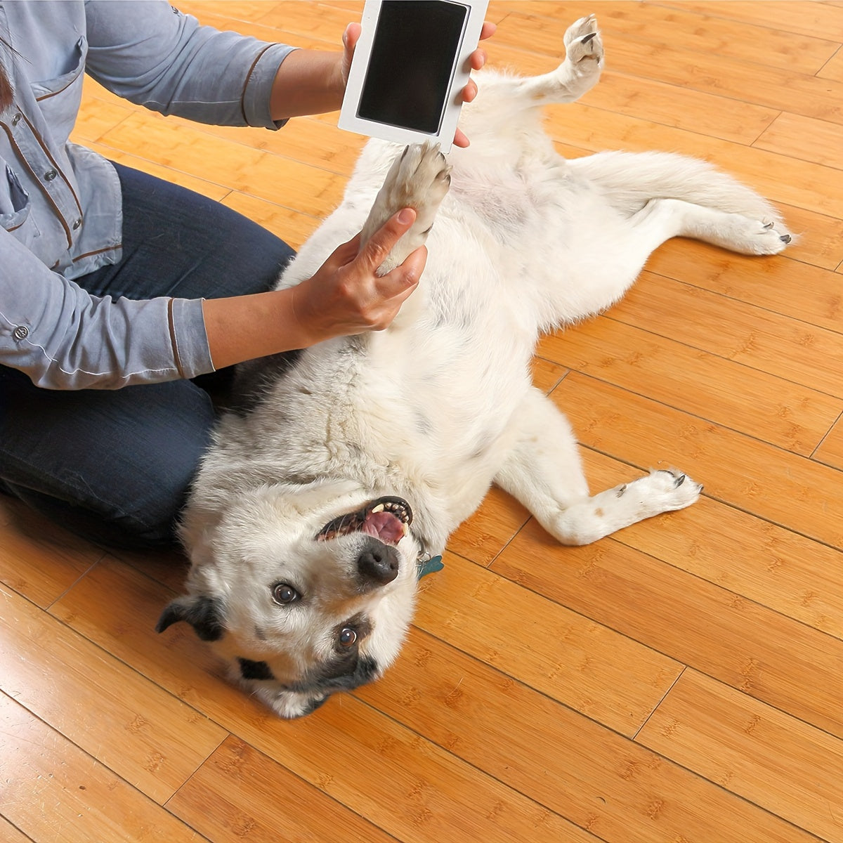 Pet Paw Print Pad