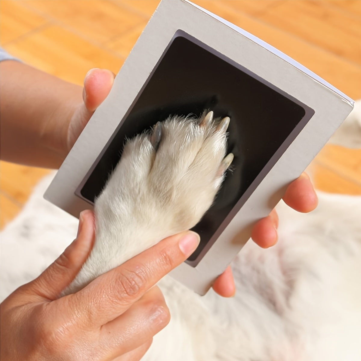 Pet Paw Print Pad